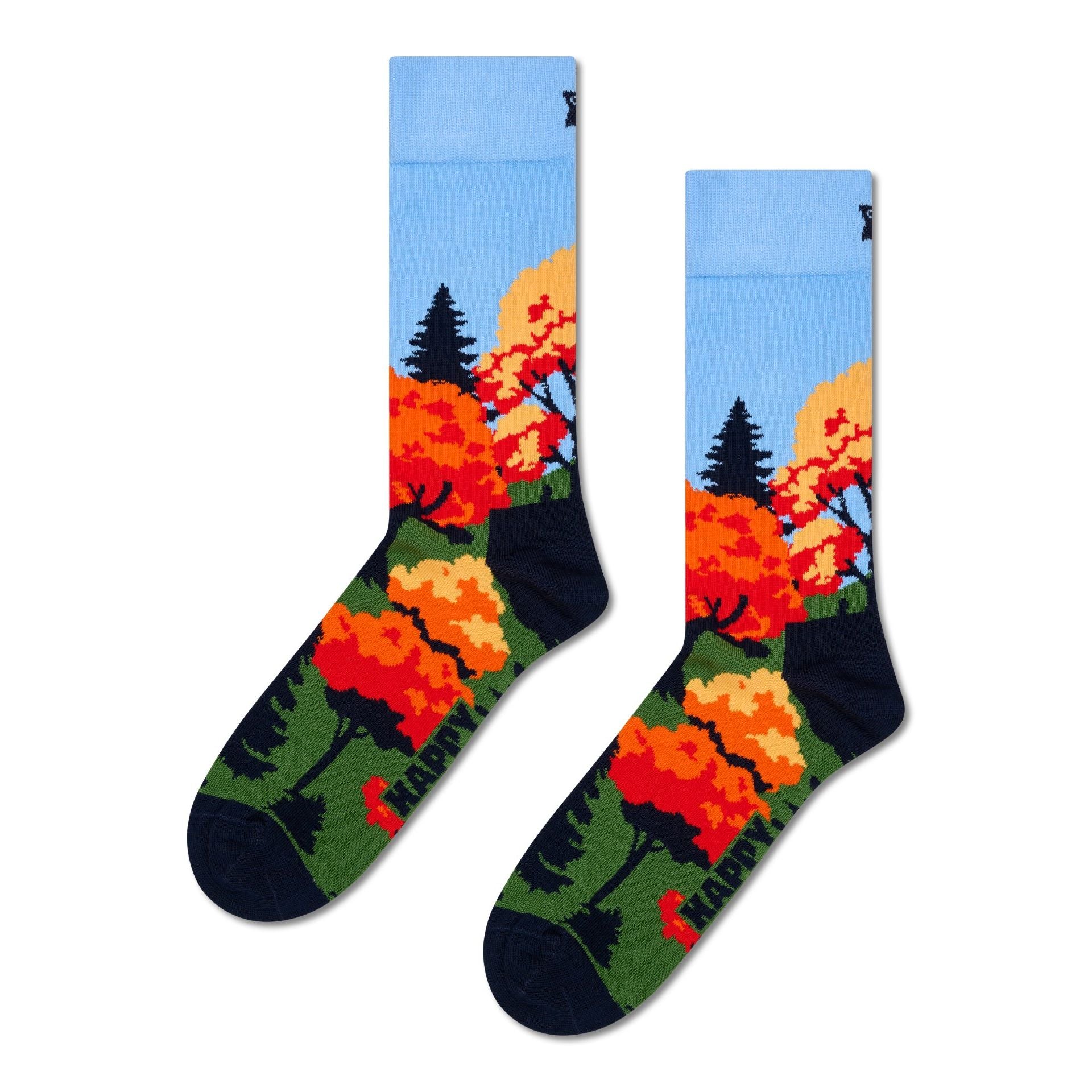 Autumn Sock